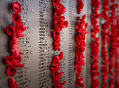 Remembrance Day: We will remember them