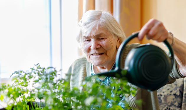 90 year olds are Australia’s fastest growing senior age group