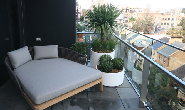 How to Create a Balcony Garden