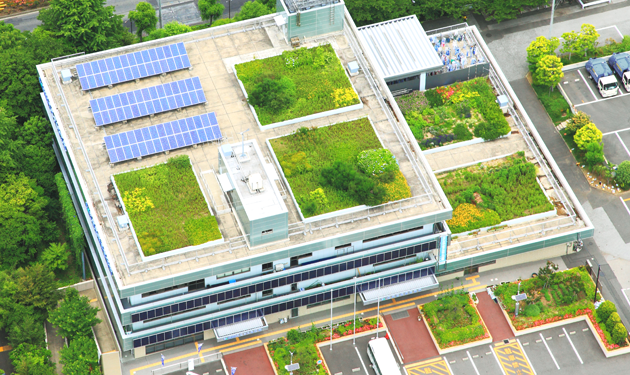 Rooftop garden