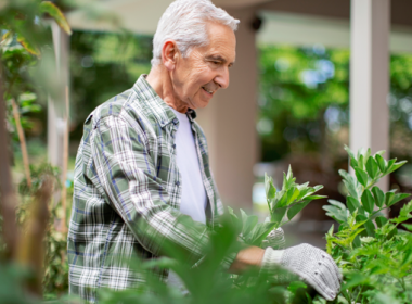 Gardening as therapy?