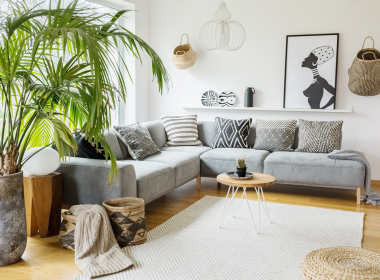 Indoor oasis in your apartment