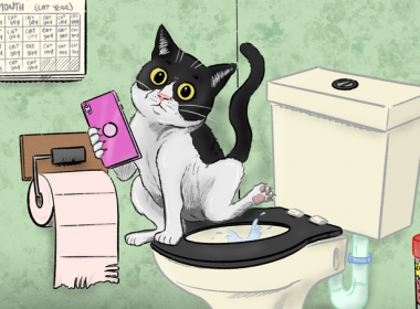 I’ve always wondered: can I flush cat poo down the toilet?